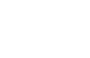 logo white